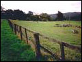 Ranchland for Sale
