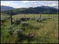 Ranchland for Sale
